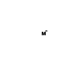 pt galata